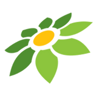 LINK BIGSLOT